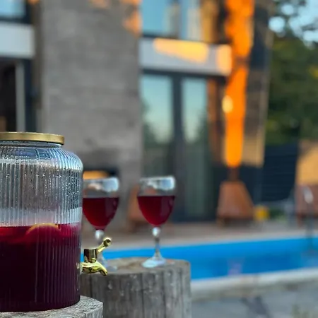 Orange With Private Pool Ilidza